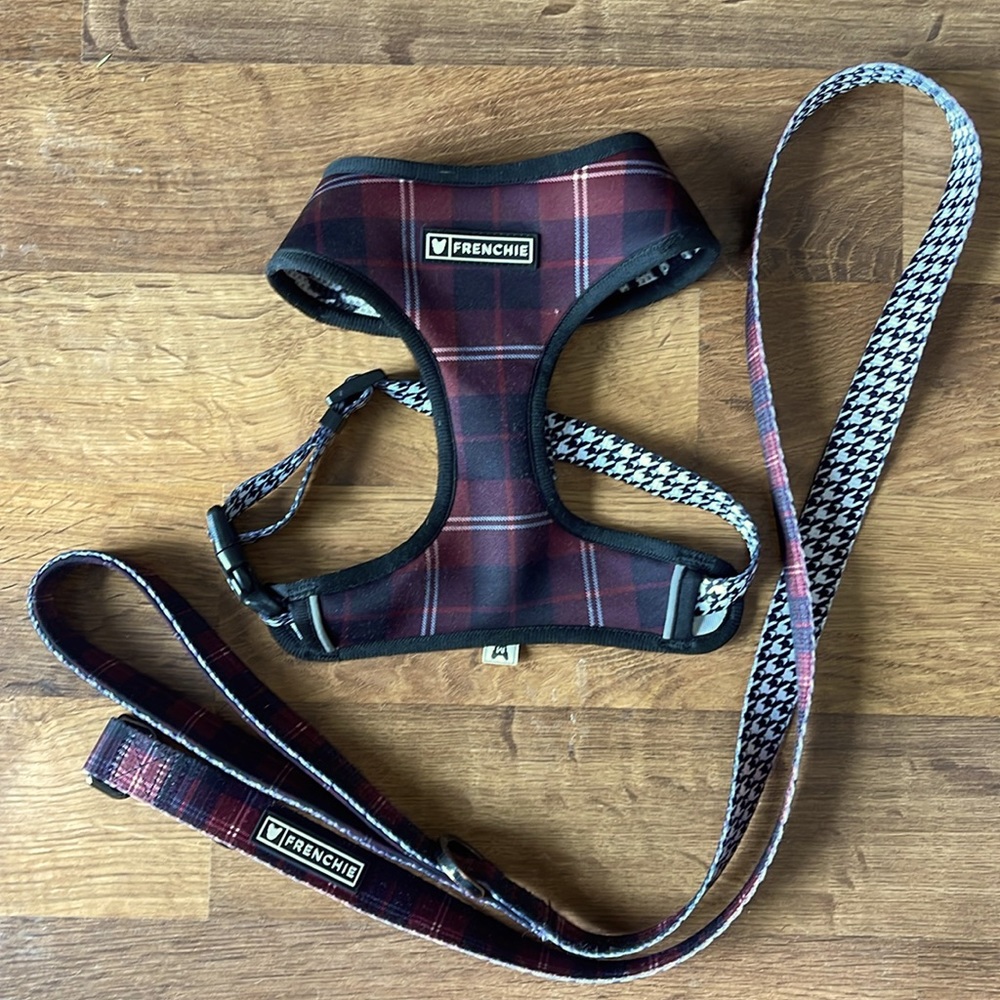Frenchie Reversible Harness and Leash Set - Size Medium